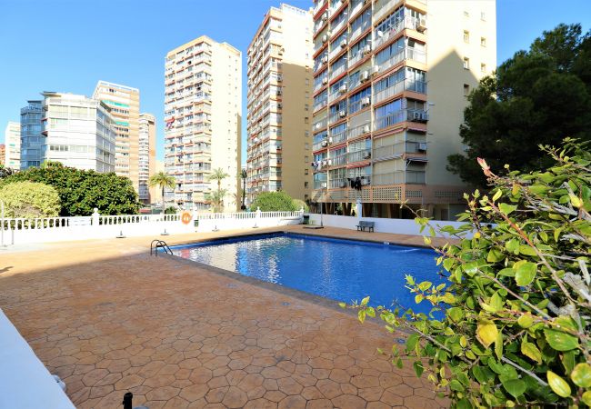 Апартаменты на Бенидорм / Benidorm - Don Miguel 2-A Apartment Levante Beach Апартаменты на Бенидорм / Benidorm - Don Miguel 2-A Apartment Levante Beach