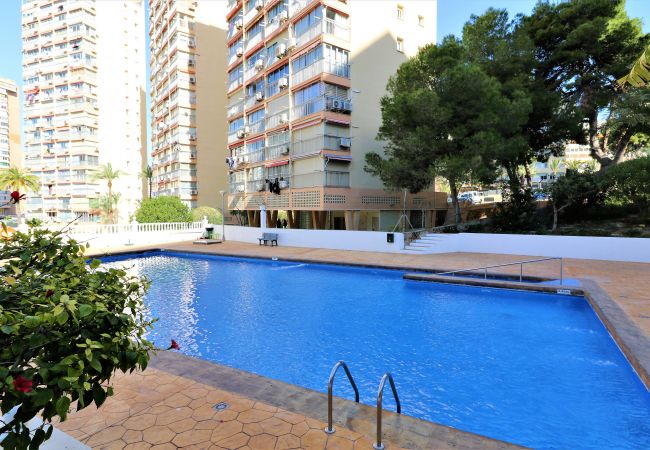 Апартаменты на Бенидорм / Benidorm - Don Miguel 2-A Apartment Levante Beach Апартаменты на Бенидорм / Benidorm - Don Miguel 2-A Apartment Levante Beach