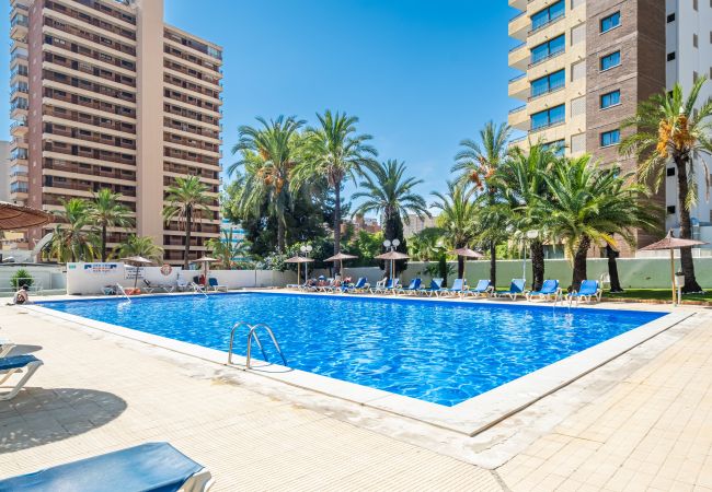 Апартаменты на Benidorm - Bermudas 401 Apartment Levante-Rincón de Loix Area Апартаменты на Benidorm - Bermudas 401 Apartment Levante-Rincón de Loix Area