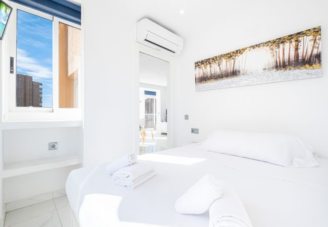 Апартаменты на Benidorm -  Don Paco 12-B Deluxe Apartment Levante Beach Апартаменты на Benidorm -  Don Paco 12-B Deluxe Apartment Levante Beach