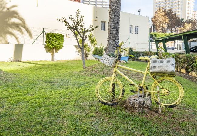 Апартаменты на Benidorm - Alteanos 16-2 Apartment Levante Beach Апартаменты на Benidorm - Alteanos 16-2 Apartment Levante Beach