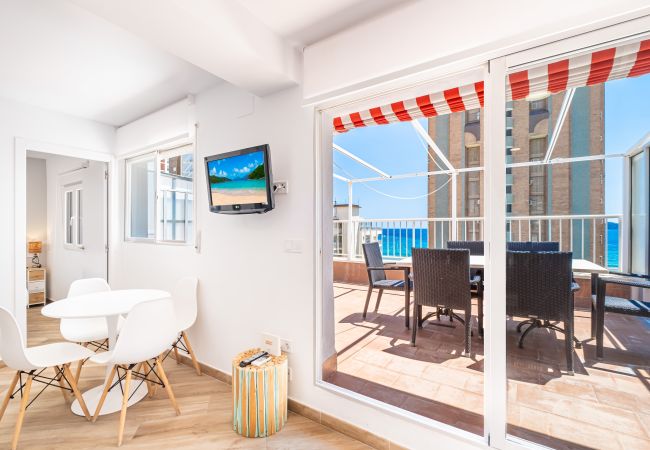  на Benidorm -  Penthouse El Pato 872 Levante Beach
