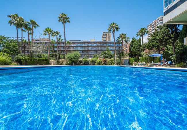 Квартира-студия на Benidorm - Penthouse Cervantes Sea View Levante Beach Квартира-студия на Benidorm - Penthouse Cervantes Sea View Levante Beach