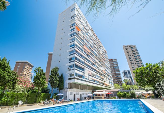 Квартира-студия на Benidorm - Penthouse Cervantes Sea View Levante Beach Квартира-студия на Benidorm - Penthouse Cervantes Sea View Levante Beach