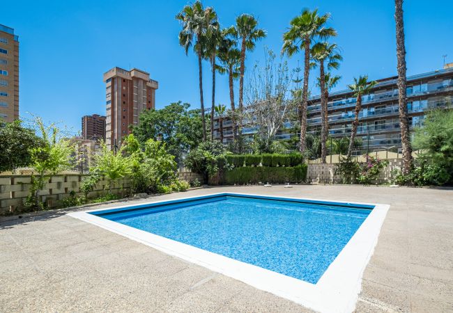 Квартира-студия на Benidorm - Penthouse Cervantes Sea View Levante Beach Квартира-студия на Benidorm - Penthouse Cervantes Sea View Levante Beach