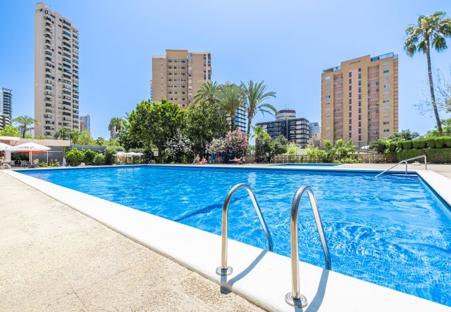 Квартира-студия на Benidorm - Penthouse Cervantes Sea View Levante Beach Квартира-студия на Benidorm - Penthouse Cervantes Sea View Levante Beach