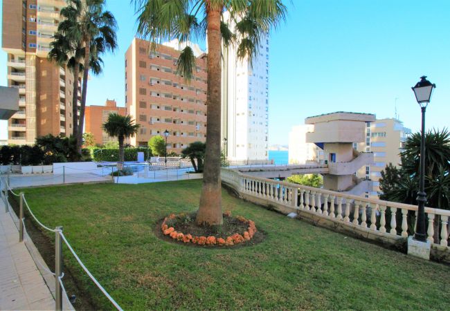 Апартаменты на Benidorm - Trinisol Seaviews 24E Апартаменты на Benidorm - Trinisol Seaviews 24E