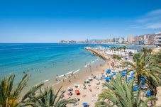 Апартаменты на Бенидорм / Benidorm - San Vicente 31 Old Town Апартаменты на Бенидорм / Benidorm - San Vicente 31 Old Town