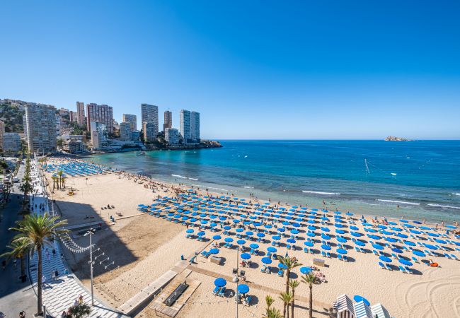 Апартаменты на Benidorm - Veracruz 8-A Апартаменты на Benidorm - Veracruz 8-A