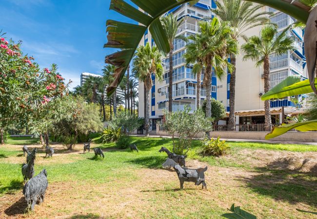 Апартаменты на Benidorm - Torre Yago Deluxe 1-2 Levante Beach Апартаменты на Benidorm - Torre Yago Deluxe 1-2 Levante Beach