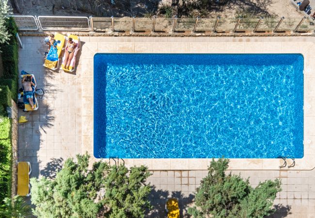 Апартаменты на Benidorm -  Paraiso Lido Sea Views 1-D Levante Beach Апартаменты на Benidorm -  Paraiso Lido Sea Views 1-D Levante Beach