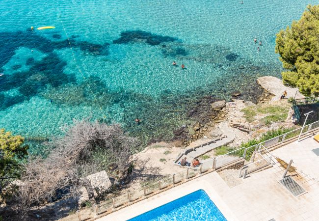 Апартаменты на Benidorm -  Paraiso Lido Sea Views 1-D Levante Beach Апартаменты на Benidorm -  Paraiso Lido Sea Views 1-D Levante Beach