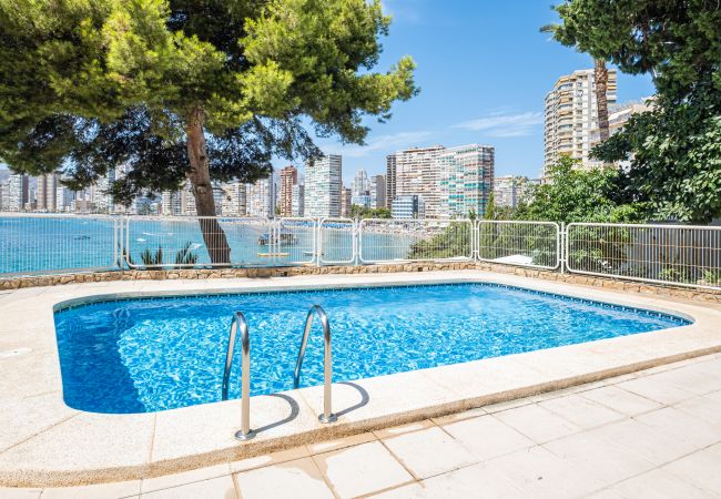 Апартаменты на Benidorm -  Paraiso Lido Sea Views 1-D Levante Beach Апартаменты на Benidorm -  Paraiso Lido Sea Views 1-D Levante Beach