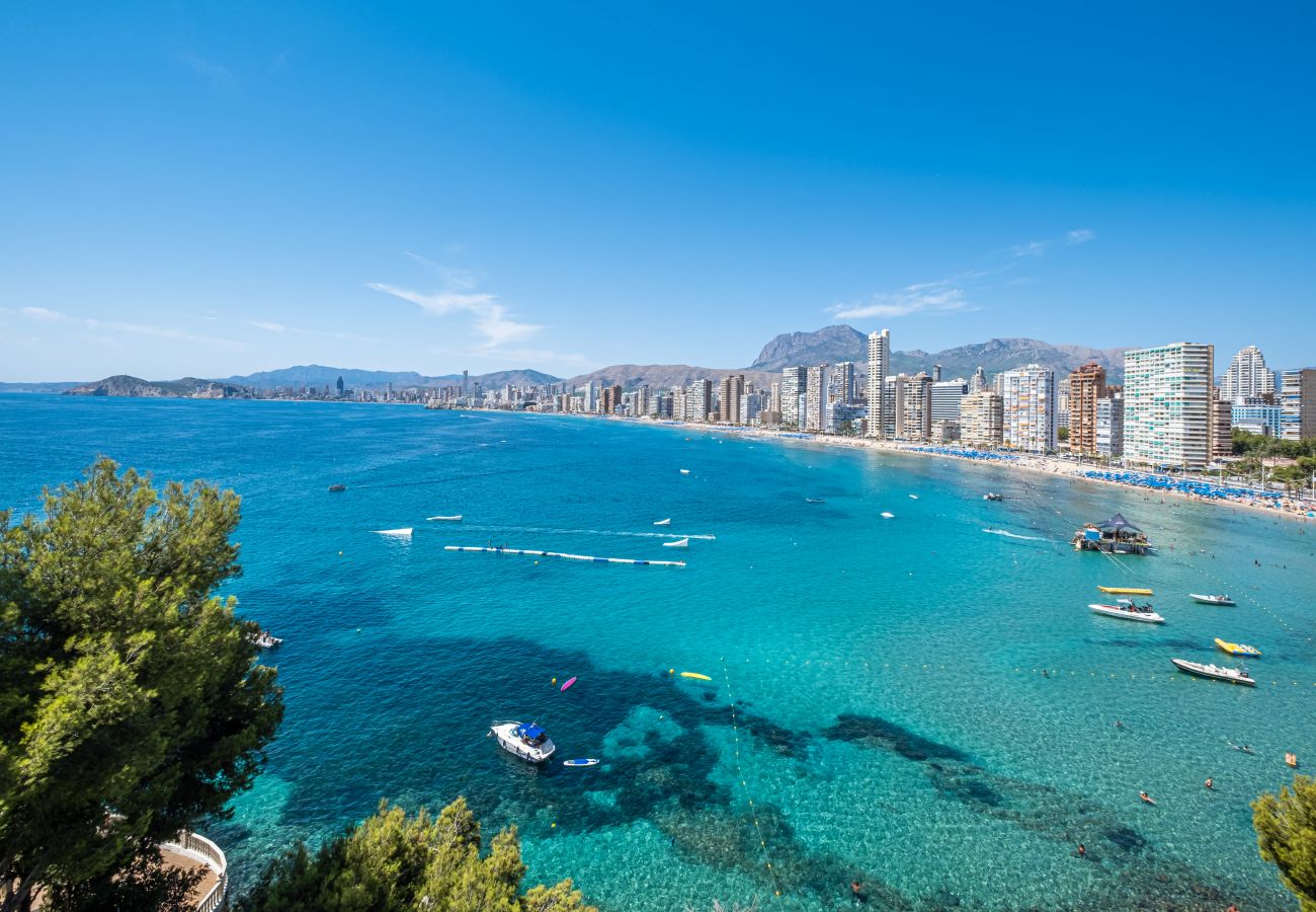 Апартаменты на Бенидорм / Benidorm -  Paraiso Lido Sea Views 1-D Levante Beach Апартаменты на Бенидорм / Benidorm -  Paraiso Lido Sea Views 1-D Levante Beach
