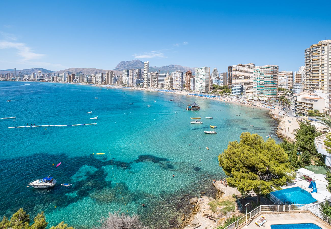 Апартаменты на Бенидорм / Benidorm -  Paraiso Lido Sea Views 1-D Levante Beach Апартаменты на Бенидорм / Benidorm -  Paraiso Lido Sea Views 1-D Levante Beach