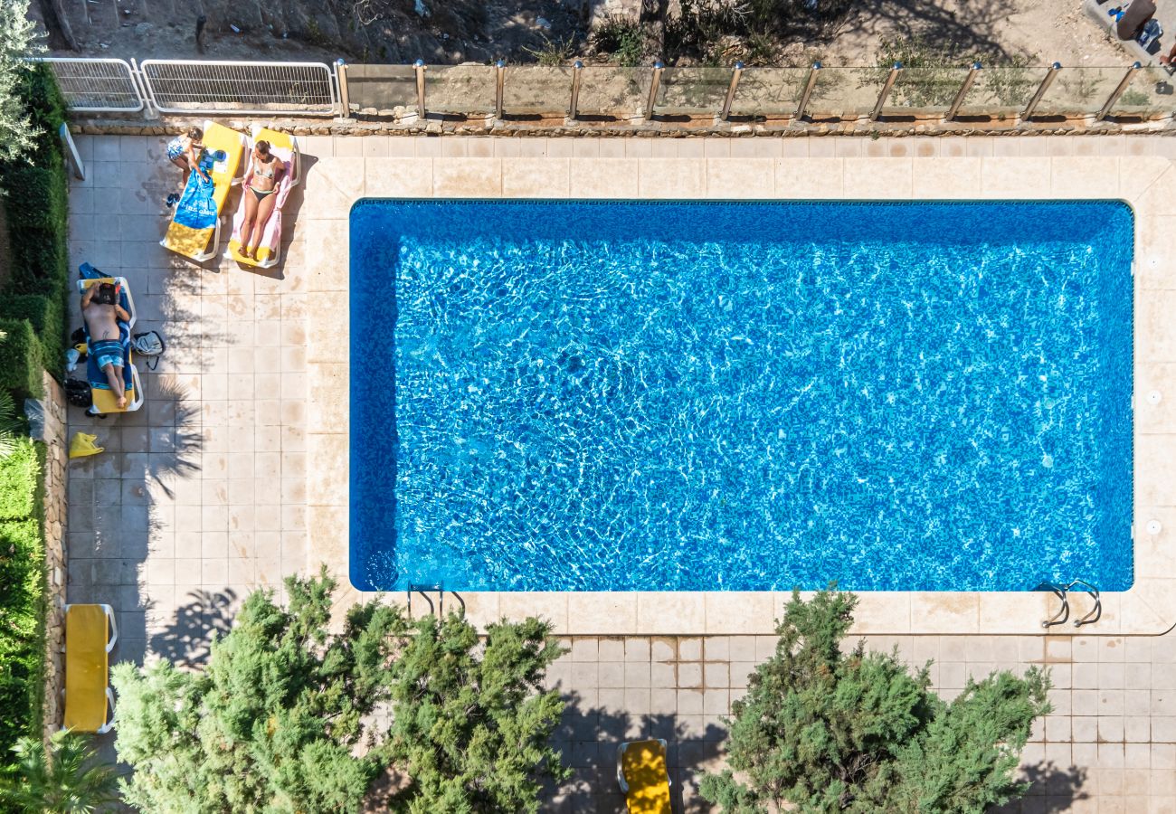 Апартаменты на Бенидорм / Benidorm -  Paraiso Lido Sea Views 1-D Levante Beach Апартаменты на Бенидорм / Benidorm -  Paraiso Lido Sea Views 1-D Levante Beach