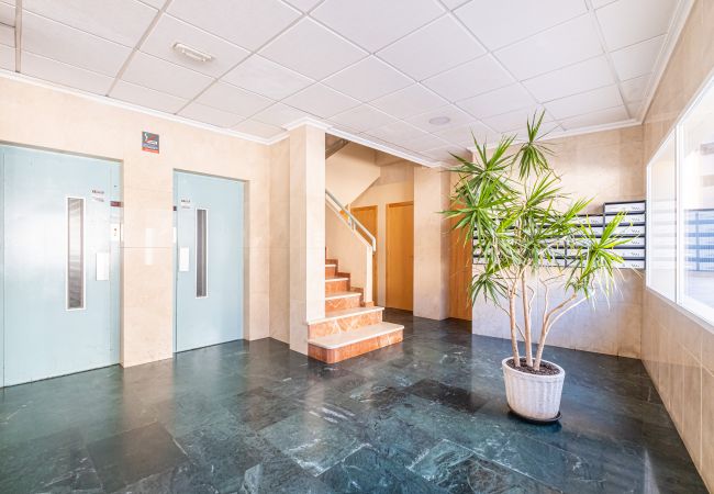 Апартаменты на Benidorm - Niza 3-A Apartment Levante Beach Апартаменты на Benidorm - Niza 3-A Apartment Levante Beach