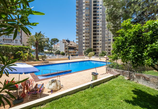 Апартаменты на Benidorm - Don Miguel Apartment Deluxe 7-A Levante Beach Апартаменты на Benidorm - Don Miguel Apartment Deluxe 7-A Levante Beach