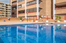 Апартаменты на Бенидорм / Benidorm - Loix Mar Apartment 1-C Levante Beach