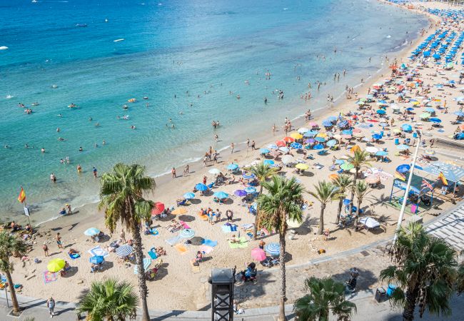 Апартаменты на Benidorm - Don Miguel Apartment 8-C Levante Beach Апартаменты на Benidorm - Don Miguel Apartment 8-C Levante Beach