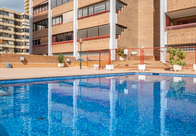 Апартаменты на Benidorm - Loix Mar Apartment 2-F Levante Beach Апартаменты на Benidorm - Loix Mar Apartment 2-F Levante Beach