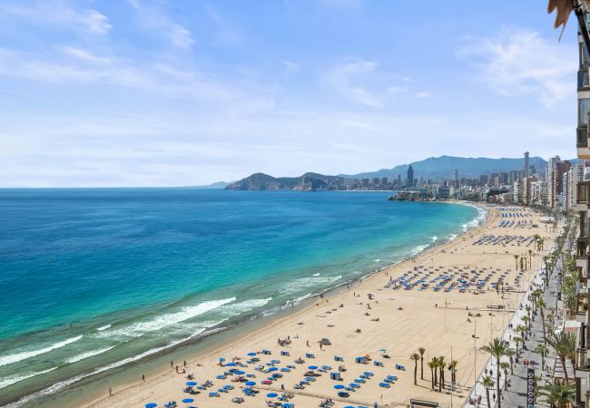 Апартаменты на Бенидорм / Benidorm - Cachirulo Deluxe Apartment 12-C Levante Beach Апартаменты на Бенидорм / Benidorm - Cachirulo Deluxe Apartment 12-C Levante Beach