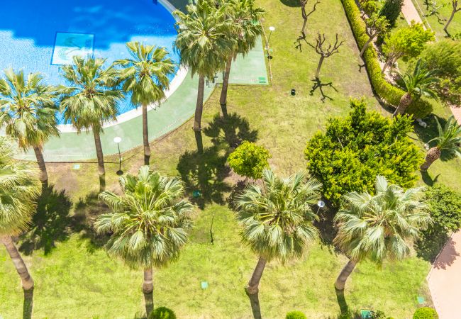 Апартаменты на Villajoyosa - Cala Palmera 10-C Apartment Playa La Cala Beach Апартаменты на Villajoyosa - Cala Palmera 10-C Apartment Playa La Cala Beach