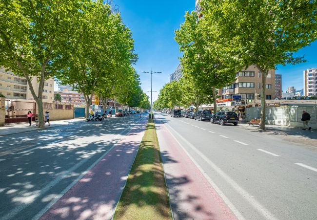 Апартаменты на Benidorm - Anna Apartment 4-C Levante Beach Апартаменты на Benidorm - Anna Apartment 4-C Levante Beach