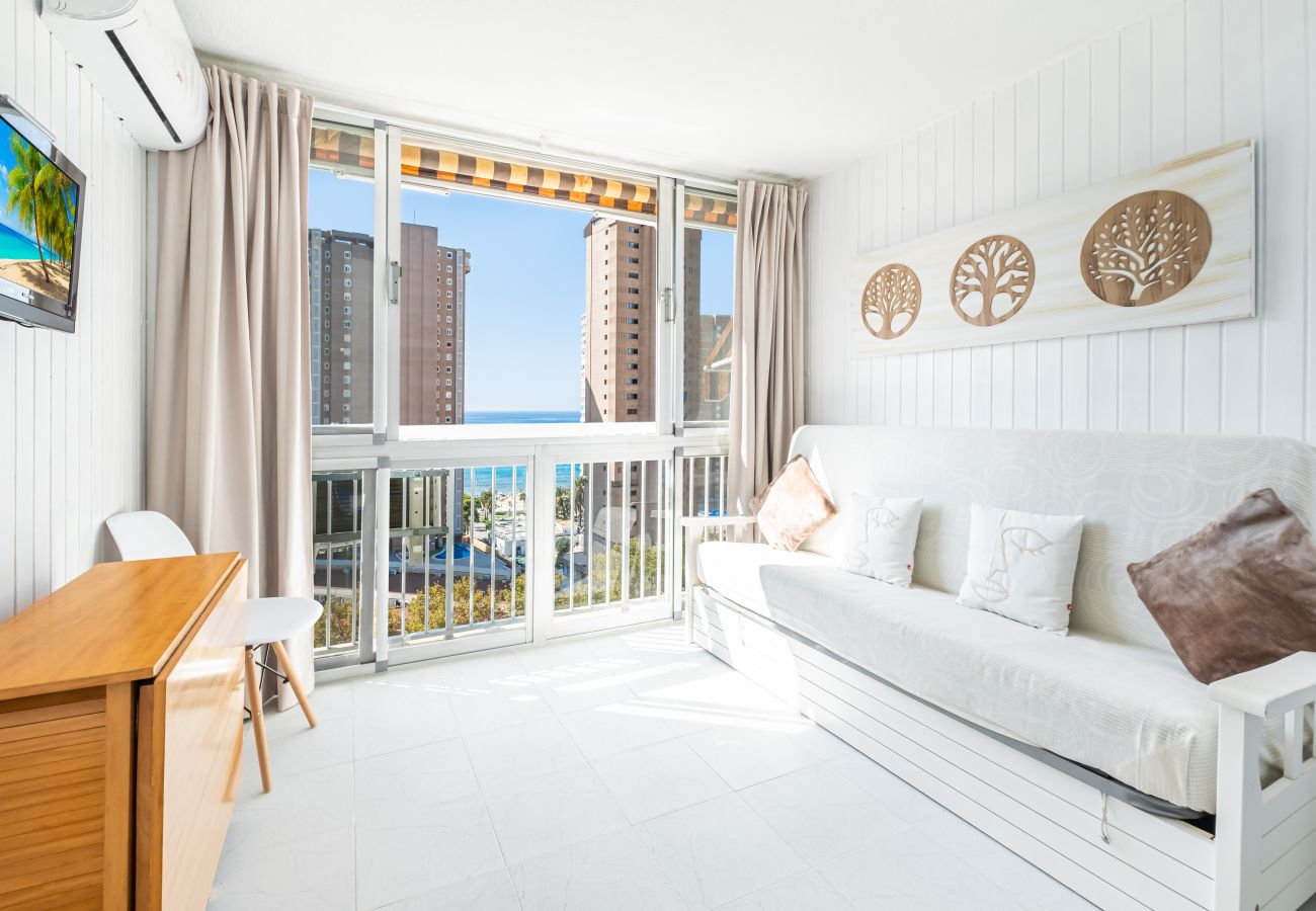 Квартира-студия на Бенидорм / Benidorm - Albatros 13-8 Estudio Levante Beach Квартира-студия на Бенидорм / Benidorm - Albatros 13-8 Estudio Levante Beach