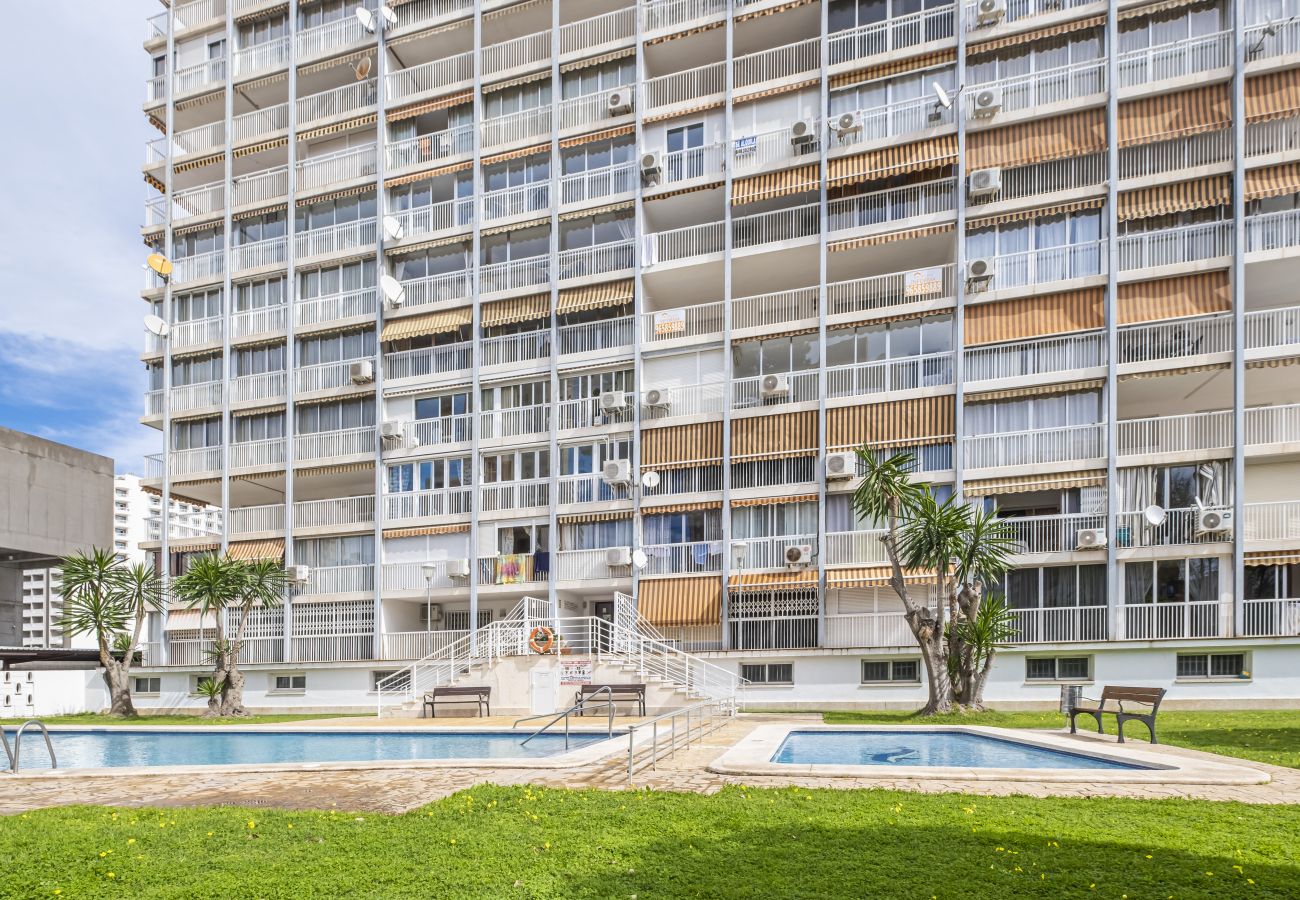 Квартира-студия на Бенидорм / Benidorm - Albatros 13-8 Estudio Levante Beach Квартира-студия на Бенидорм / Benidorm - Albatros 13-8 Estudio Levante Beach