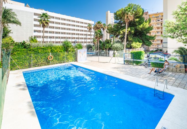 Апартаменты на Benidorm - Donna II 8-38 Apartment Levante Beach Апартаменты на Benidorm - Donna II 8-38 Apartment Levante Beach