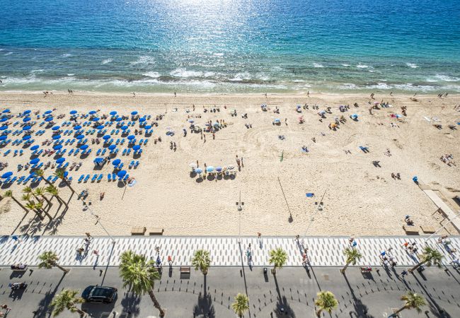 Апартаменты на Бенидорм / Benidorm - Las Damas 12-E Levante Beach Апартаменты на Бенидорм / Benidorm - Las Damas 12-E Levante Beach