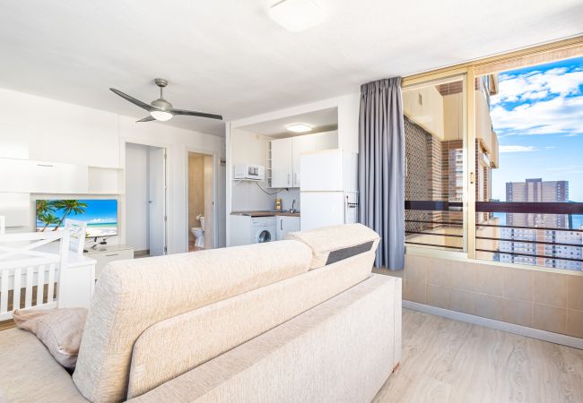 Апартаменты на Benidorm - Acuarium 3-13-A Apartment Levante Beach Апартаменты на Benidorm - Acuarium 3-13-A Apartment Levante Beach