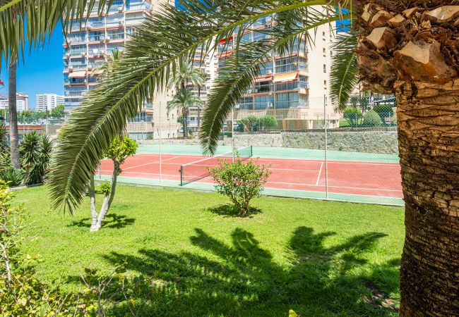 Апартаменты на Benidorm - Don Miguel Apartment 9-C Levante Beach Апартаменты на Benidorm - Don Miguel Apartment 9-C Levante Beach