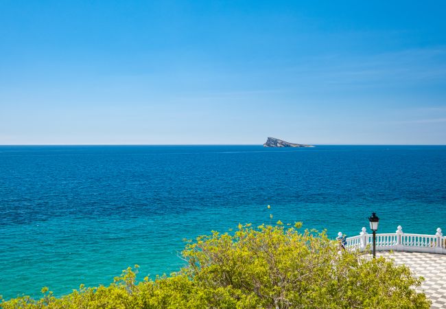 Апартотель на Бенидорм / Benidorm - Apartamentos La Rosita Old Town B-5 Апартотель на Бенидорм / Benidorm - Apartamentos La Rosita Old Town B-5