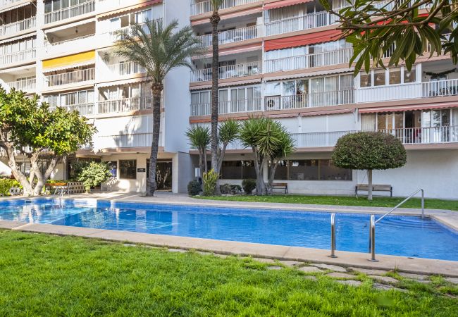 Апартаменты на Benidorm - Edimar 7-6 Apartment Levante Beach Апартаменты на Benidorm - Edimar 7-6 Apartment Levante Beach