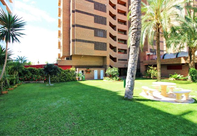 Апартаменты на Бенидорм / Benidorm - Principado Arena 20 Deluxe Apartment Levante Beach Апартаменты на Бенидорм / Benidorm - Principado Arena 20 Deluxe Apartment Levante Beach