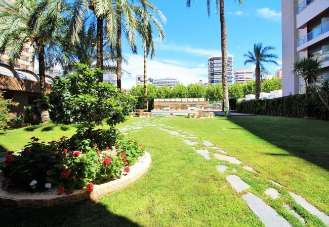 Апартаменты на Бенидорм / Benidorm - Principado Arena 20 Deluxe Apartment Levante Beach Апартаменты на Бенидорм / Benidorm - Principado Arena 20 Deluxe Apartment Levante Beach